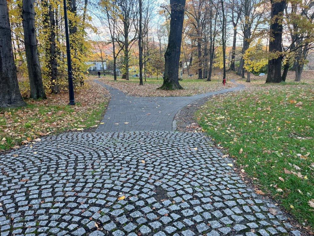Ścieżka z kamiennej kostki brukowej wijąca się przez Park przy dworku w Łodygowicach, jesienne drzewa