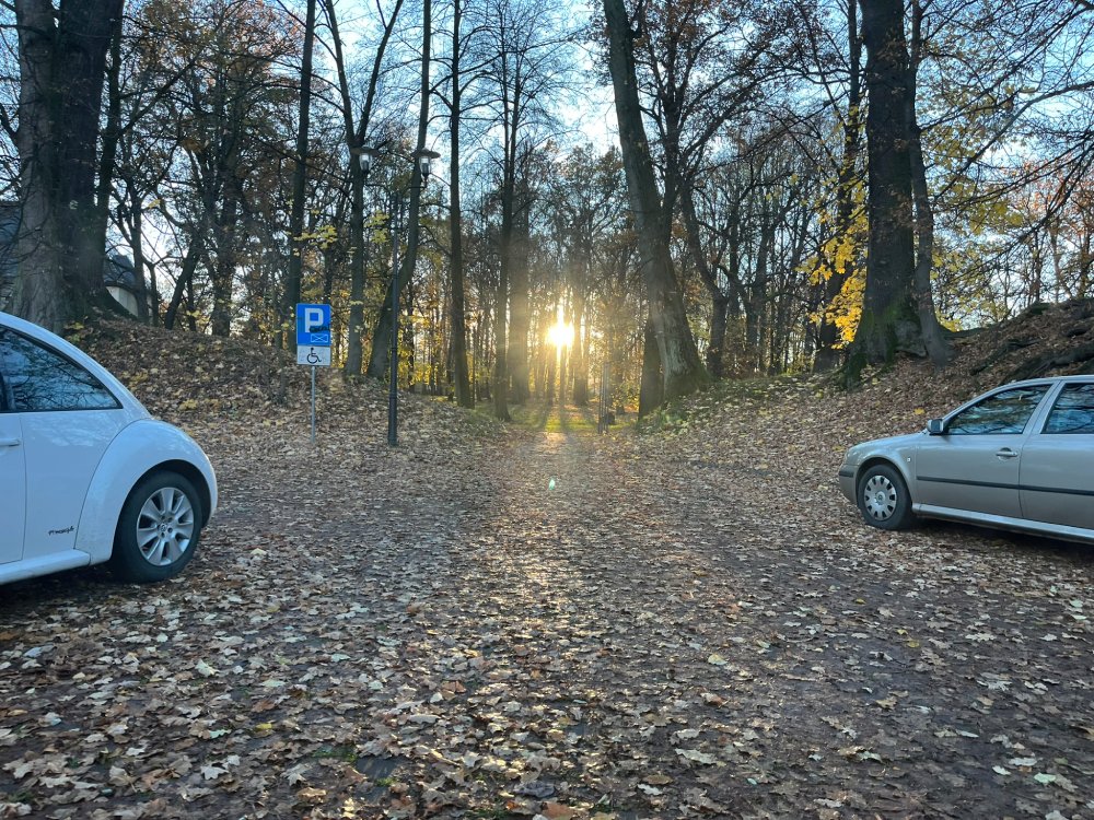 Gruntowy parking wśród drzew przy Parku przy dworku w Łodygowicach z zaparkowanymi samochodami i tablicą informacyjną