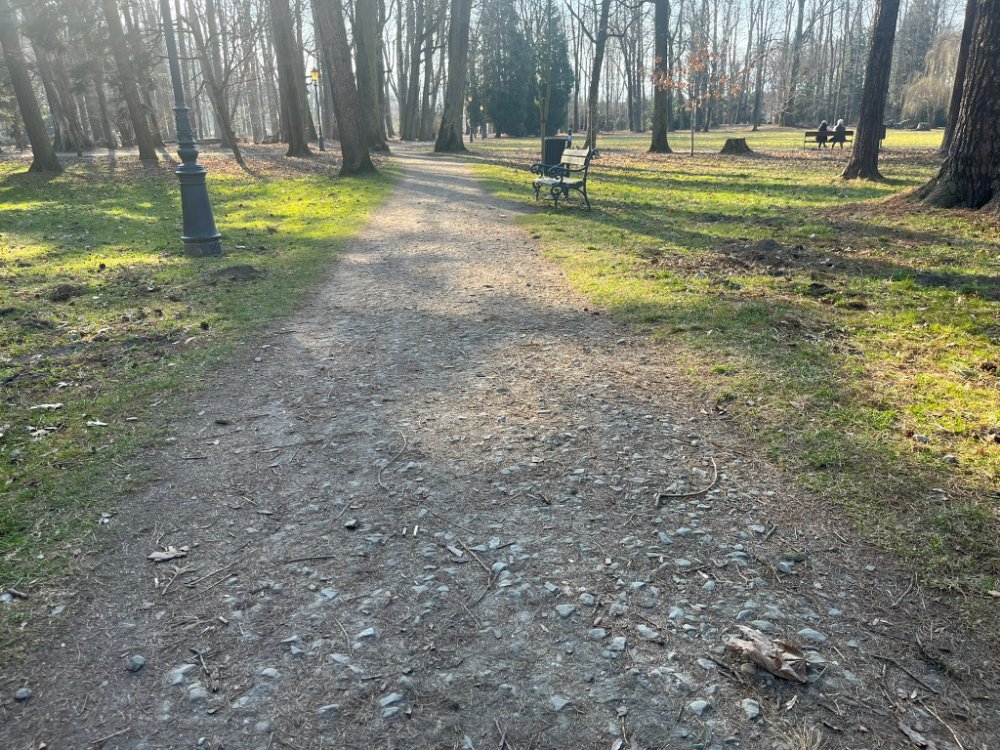 Żwirowa ścieżka rozwidlająca się wśród trawników w Parku Zamkowym w Żywcu, w tle ławki
