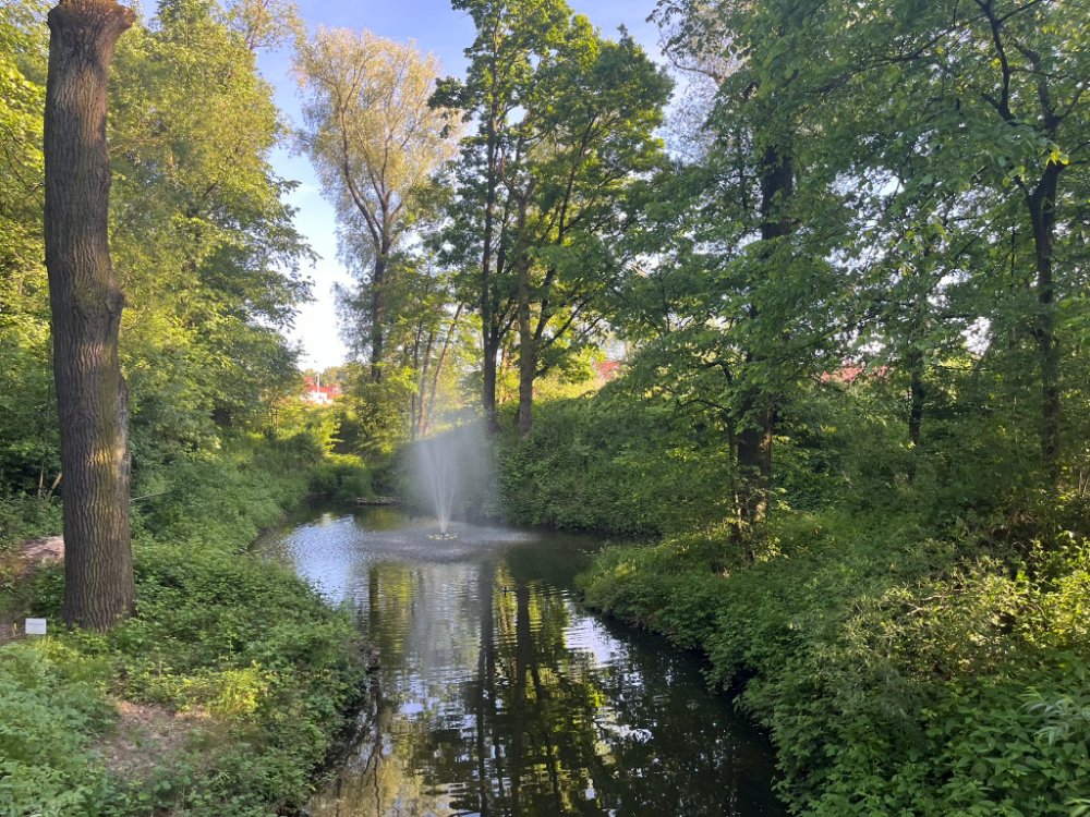Staw z fontanną otoczony zielenią drzew w Parku Szwajcarska Dolina w Czechowicach-Dziedzicach, letnia sceneria