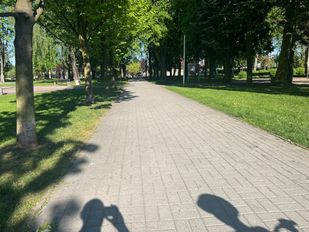Park Miejski w Brzeszczach