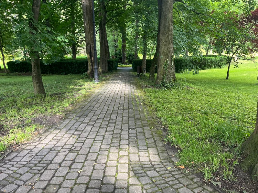 Alejka z drobnej, nierównej kostki o zamszałych spoinach, biegnąca wzdłuż strzyżonego żywopłotu.