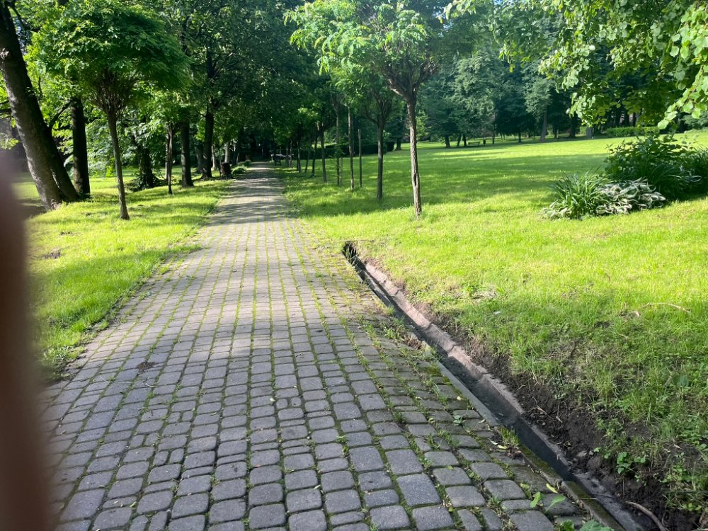 Alejka z jasnej kostki brukowej wśród drzew i trawników, obrzeżona krawężnikiem.
