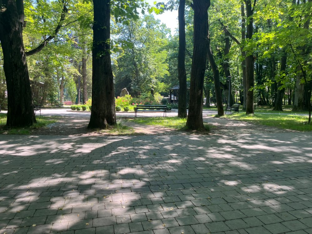 Cienisty plac w głębi parku ze starymi, wysokimi drzewami i ławką, nawierzchnia z kostki brukowej.