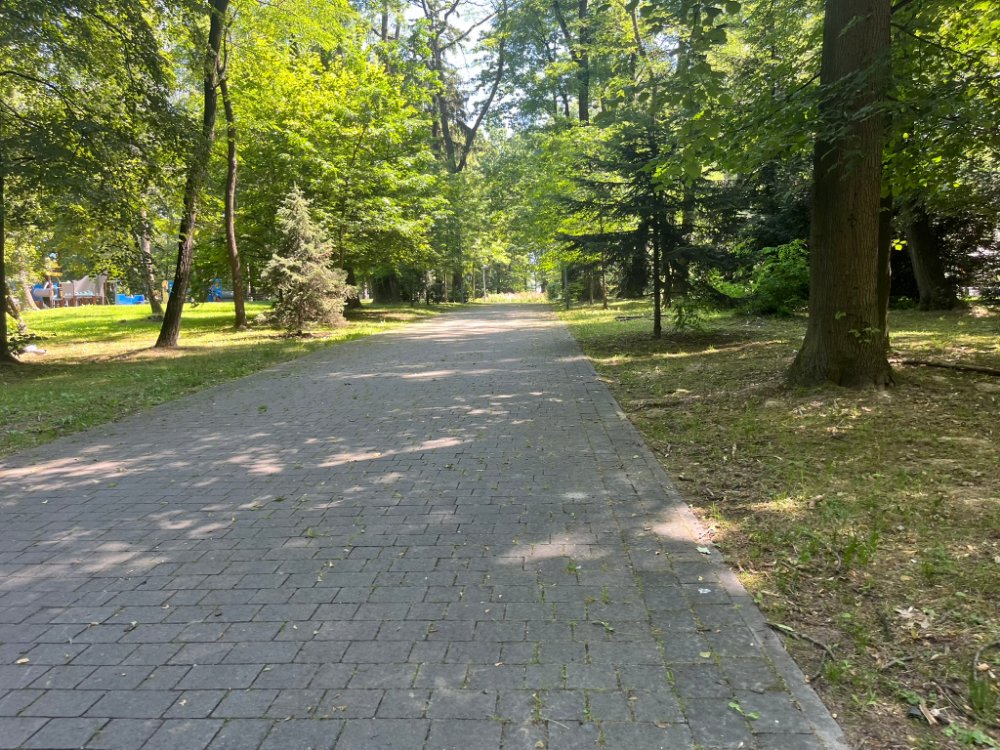 Prosta, brukowana aleja wśród wysokich drzew i trawników, w oddali plac zabaw.