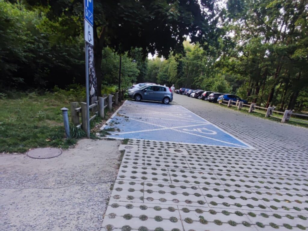 Miejsce parkingowe dla osób z niepełnosprawnością oznaczone niebieską kopertą, nawierzchnia ażurowa.