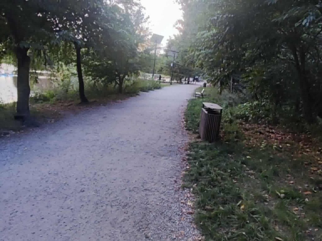 Szutrowa alejka wśród drzew wzdłuż wody, kosz na śmieci i ławki w tle.