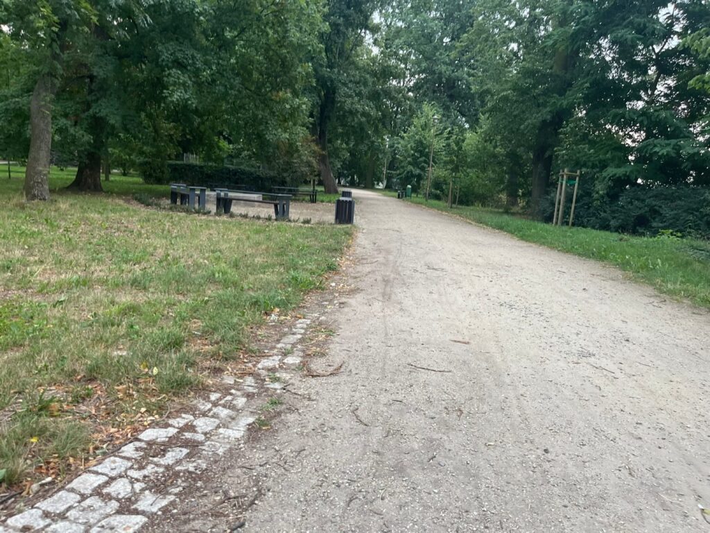 Mineralna alejka obramowana pasem kostki granitowej, przy niej ławki i trawnik.