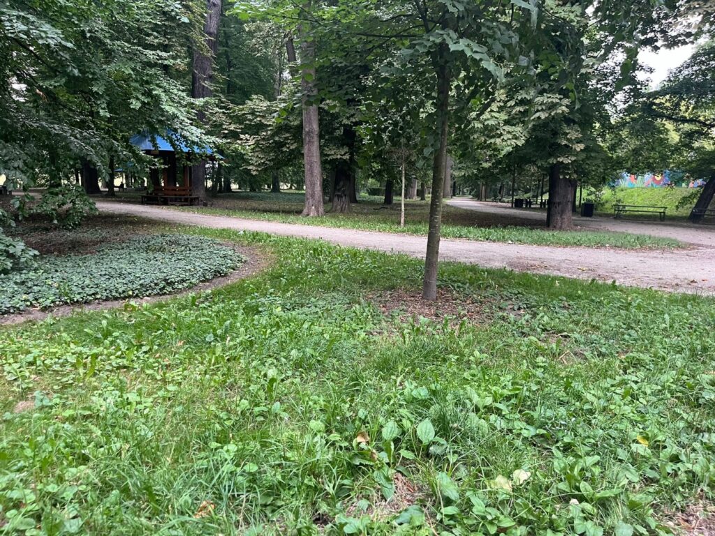 Ubita alejka mineralna w starej, zadrzewionej części parku, przy niej drewniana wiata z ławami; w głębi plac zabaw.