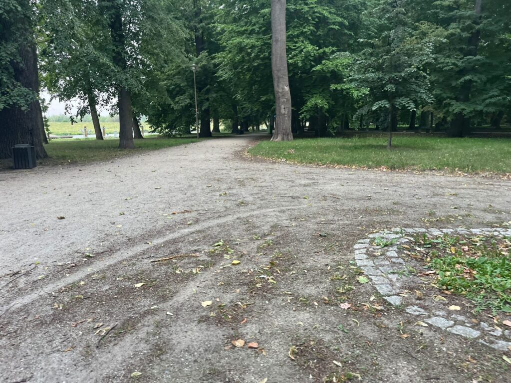 Szutrowa alejka z płytkimi koleinami i odsłoniętym starym brukiem spod warstwy kruszywa.