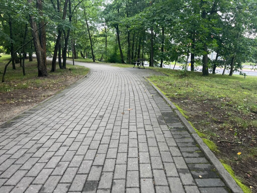 Zakręt alejki z kostki brukowej, przy krawędzi omszałe obrzeże i ubita ziemia pod drzewami.