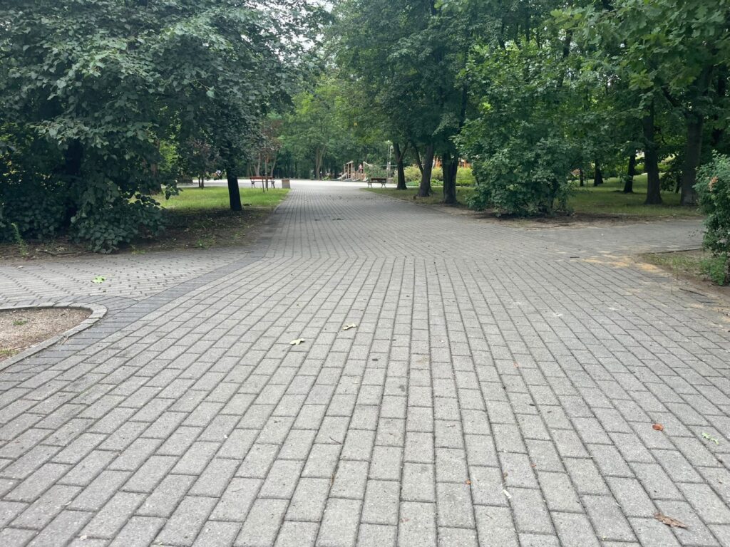 Szerokie skrzyżowanie alejek z kostki, po lewej jaśniejszy placyk, w tle drzewa i ławki.
