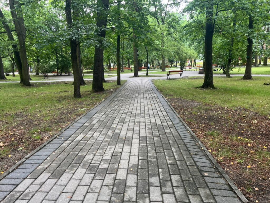 Prosta alejka z kostki brukowej biegnąca przez zadrzewioną część parku, po bokach trawa i opadłe liście.
