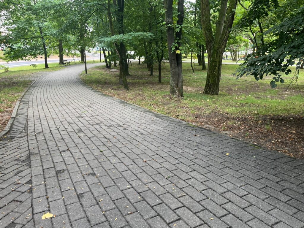 Łagodny łuk szerokiej alejki z kostki, po prawej trawnik z drzewami, po lewej niski granitowy krawężnik.