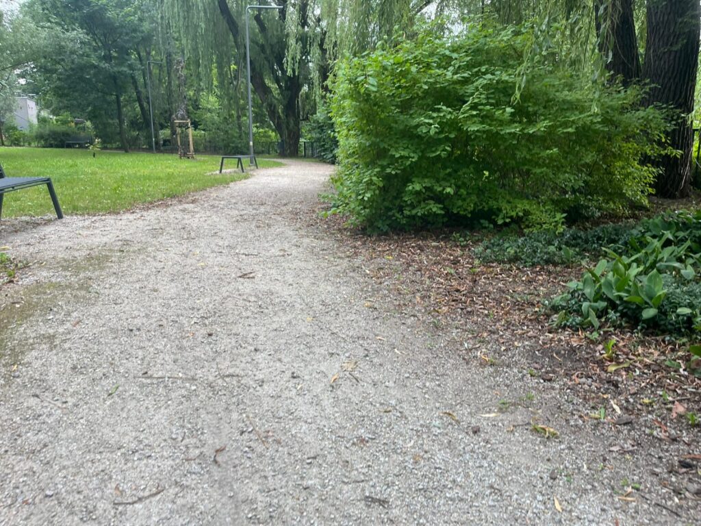 Ścieżka z luźnego grysu wzdłuż trawnika, przy niej ławki, latarnia i płacząca wierzba.