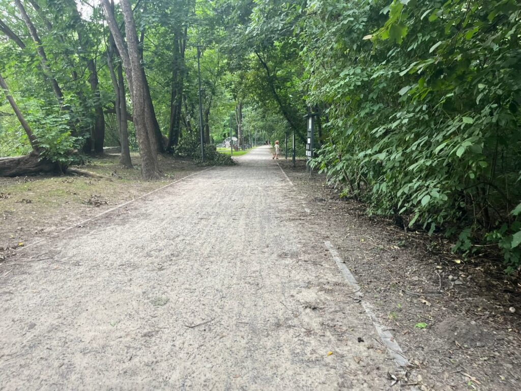 Szeroka, prosta aleja o ubitej nawierzchni szutrowej z betonowym obrzeżem, w cieniu drzew, przy niej latarnie.
