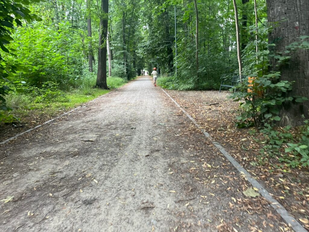 Długa, prosta aleja szutrowa pod koronami drzew, na nawierzchni liście, przy brzegu ławka.