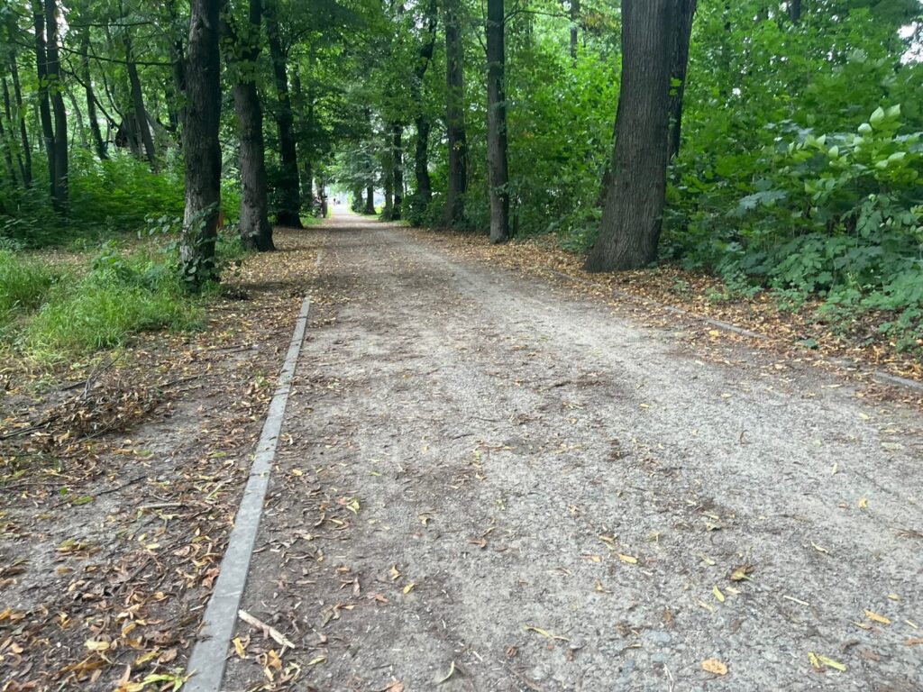 Aleja z drobnego żwiru, lekko nierówna, z liśćmi na nawierzchni i betonowym obrzeżem po lewej.