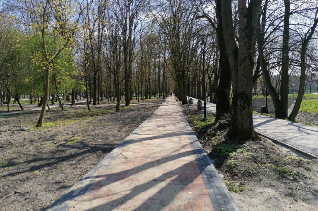 Alejka z czerwonej kostki betonowej z szarym obrzeżem, równa i prosta, między szpalerami drzew.