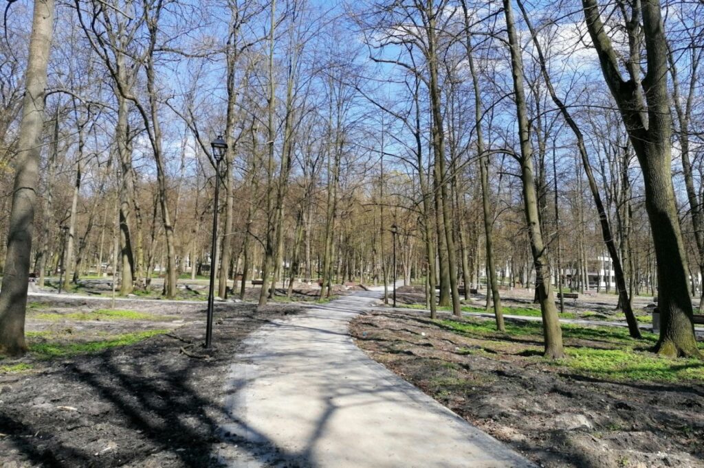 Gładka, jasna ścieżka bez spoin wijąca się przez zadrzewioną część parku, z latarniami.