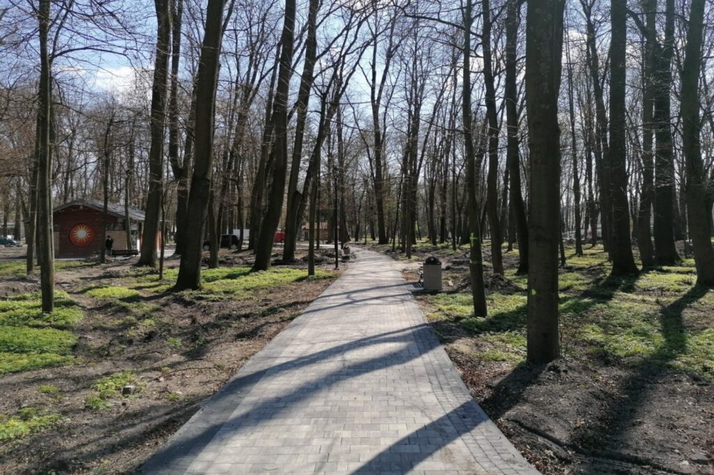 Ścieżka z jasnej kostki betonowej w lesistej części parku, przy niej kosz na śmieci.