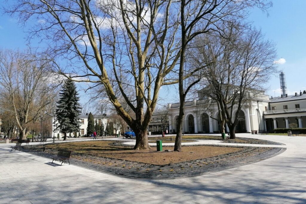 Równa nawierzchnia z jasnych płyt wokół klombu z drzewem, w tle arkady sanatorium Marconi i ławka.