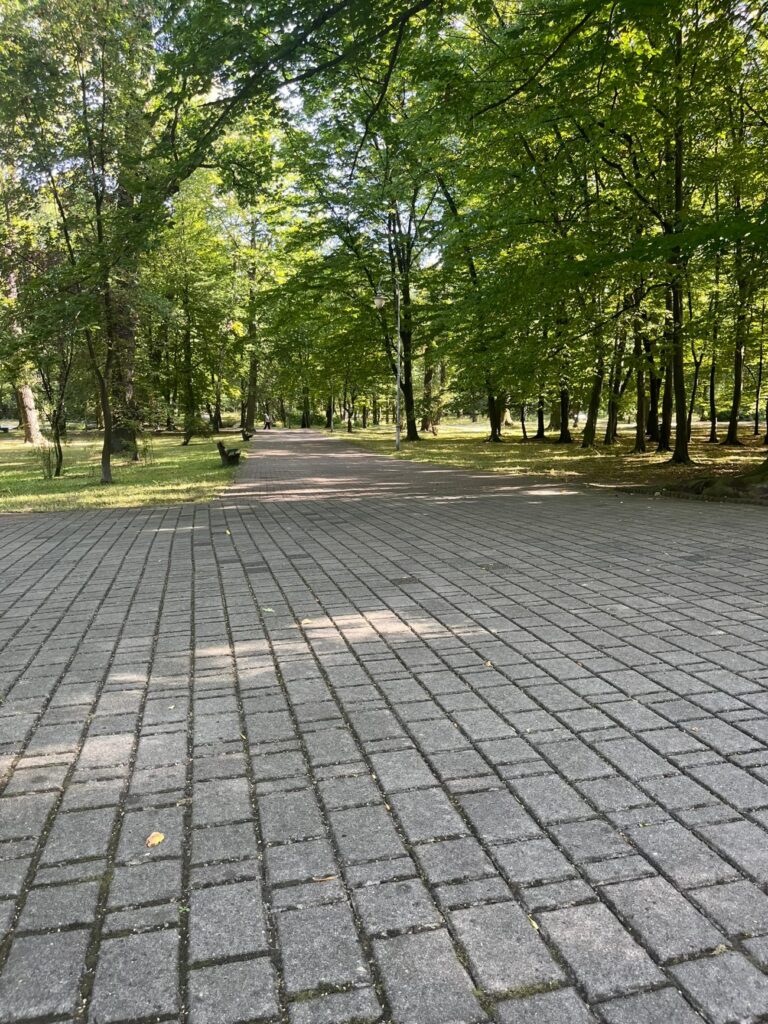 Bardzo szeroka aleja z kostki brukowej biegnąca prosto przez zadrzewioną część parku.