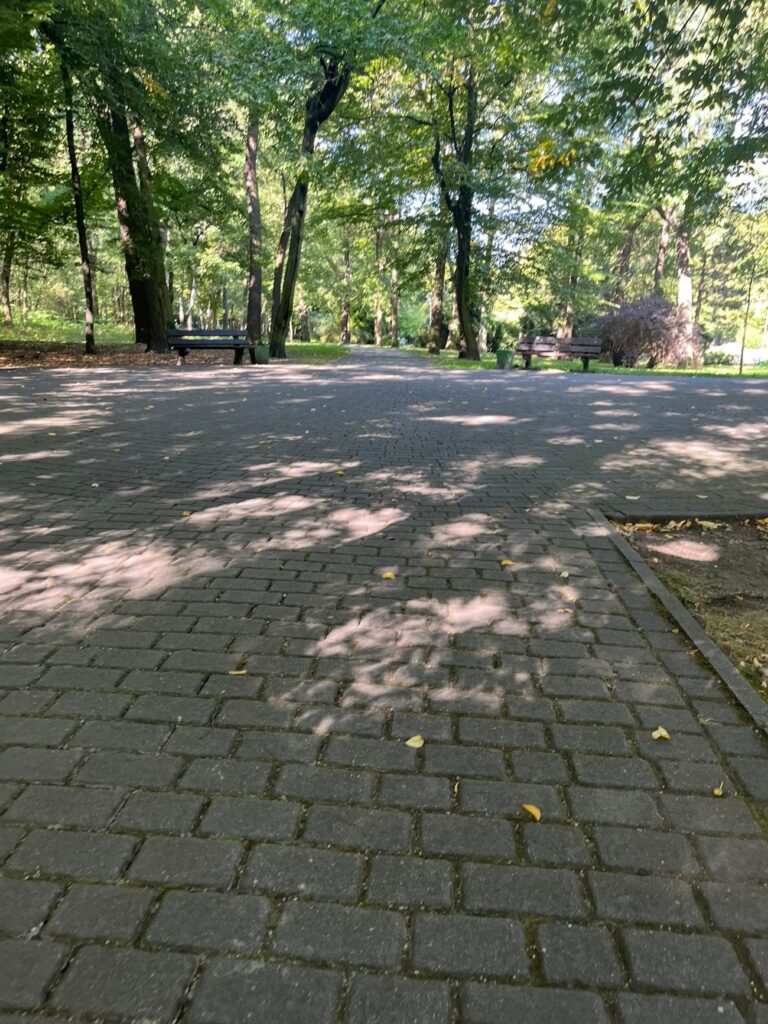 Szeroka aleja z kostki brukowej w cieniu drzew, w głębi ławki ustawione przy jej krawędzi.