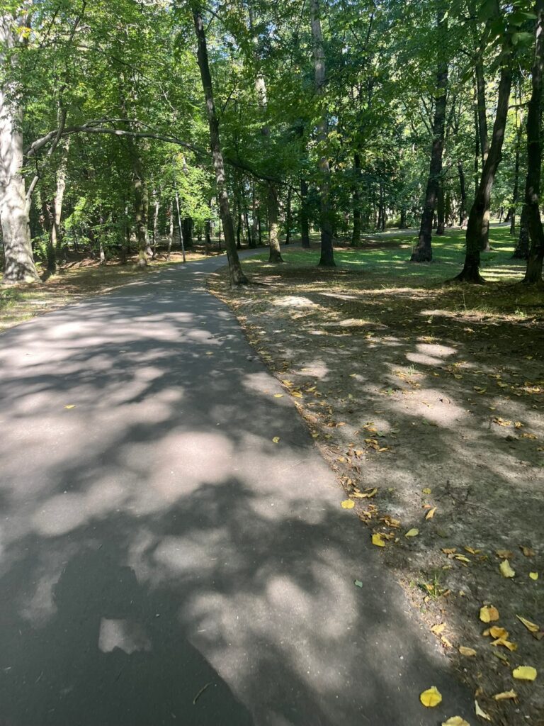 Gładka asfaltowa aleja łagodnie wznosząca się wśród drzew, po bokach trawa i opadłe liście.