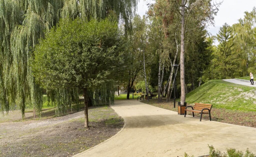 Ścieżka mineralna pod wierzbami płaczącymi, przy niej ławka i latarnia, z prawej betonowa ścieżka na trawiaste wzniesienie.