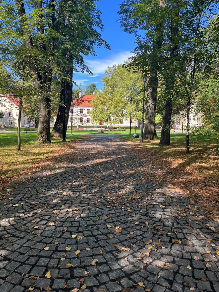 Park w Kozach
