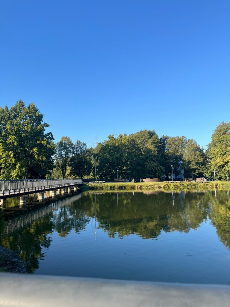 Park wypoczynku na Górnym Borze w Skoczowie