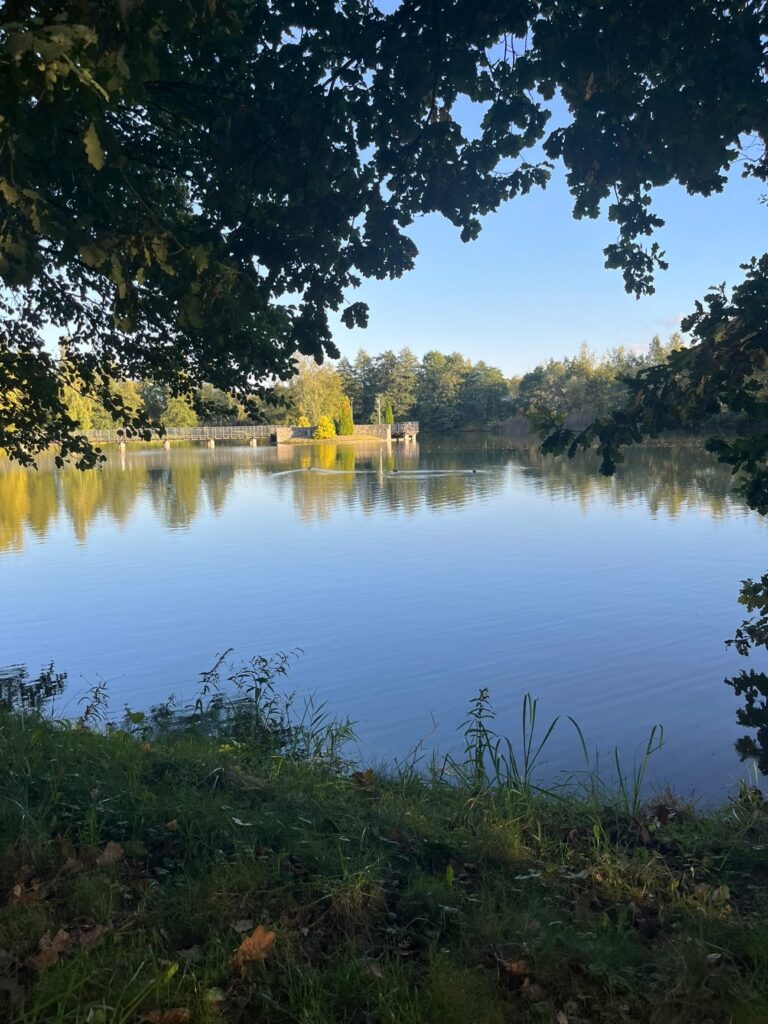 Widok spod drzew na staw, w oddali molo, na pierwszym planie trawiasty brzeg.
