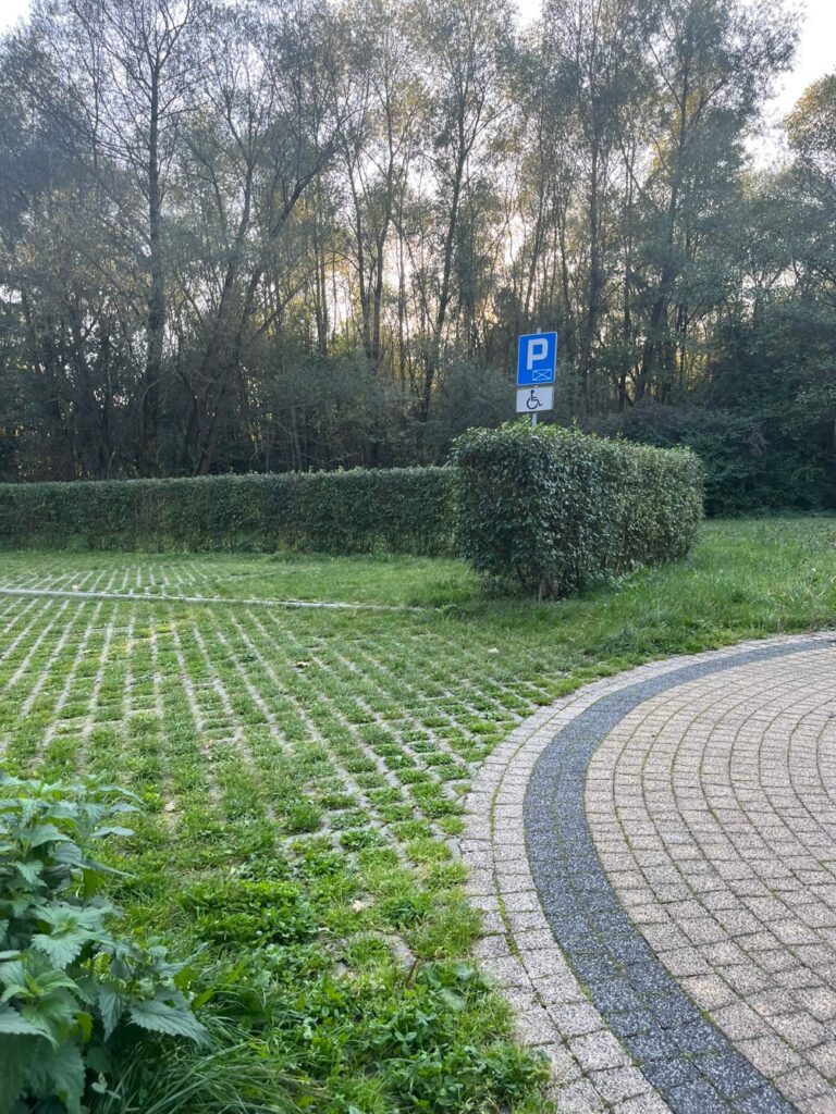 Oznakowane miejsce parkingowe dla osób z niepełnosprawnościami na płytach ażurowych z trawą, obok kostka.