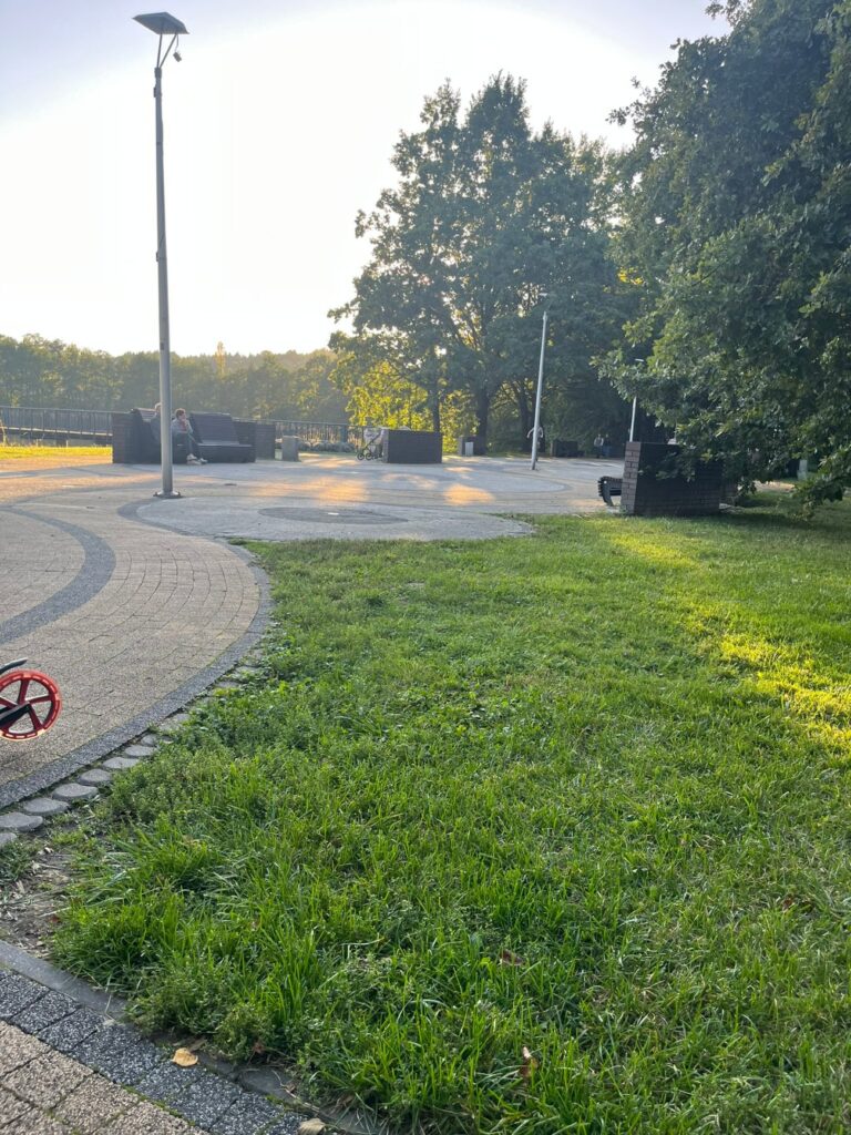 Plac z kostki z okrągłym wzorem, na nim duże ciemne siedziska i latarnie, obok trawnik.
