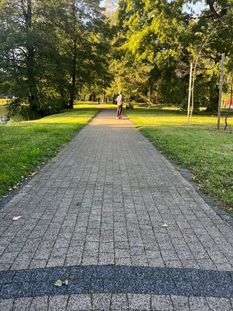Szeroka alejka z szarej kostki brukowej w parku na Górnym Borze, po bokach trawniki i stare drzewa.