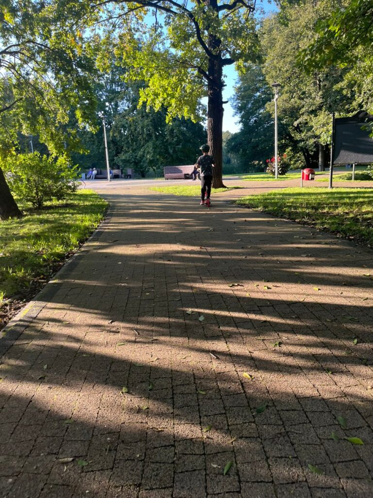 Alejka z brązowej kostki w cieniu drzew, w głębi ławki i latarnia przy trawniku.