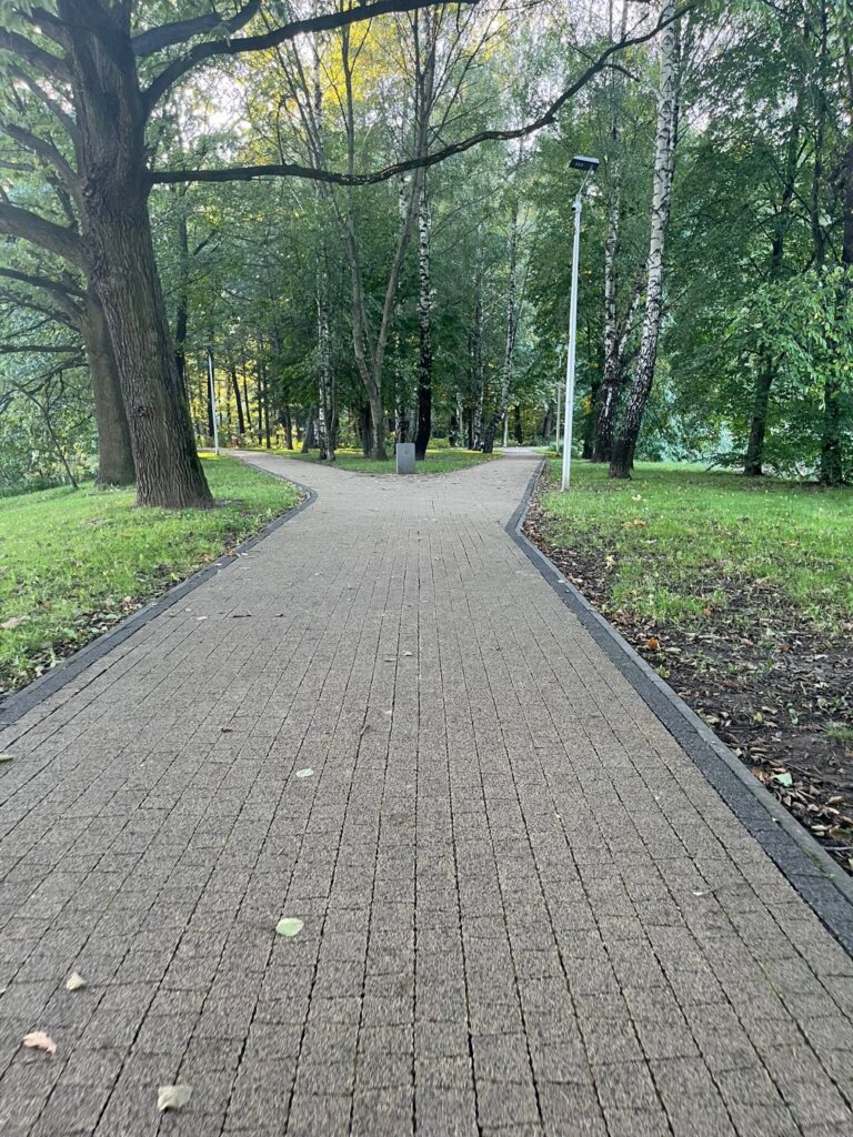 Szeroka alejka z kostki z ciemnymi obrzeżami rozwidla się między drzewami, przy niej latarnia.