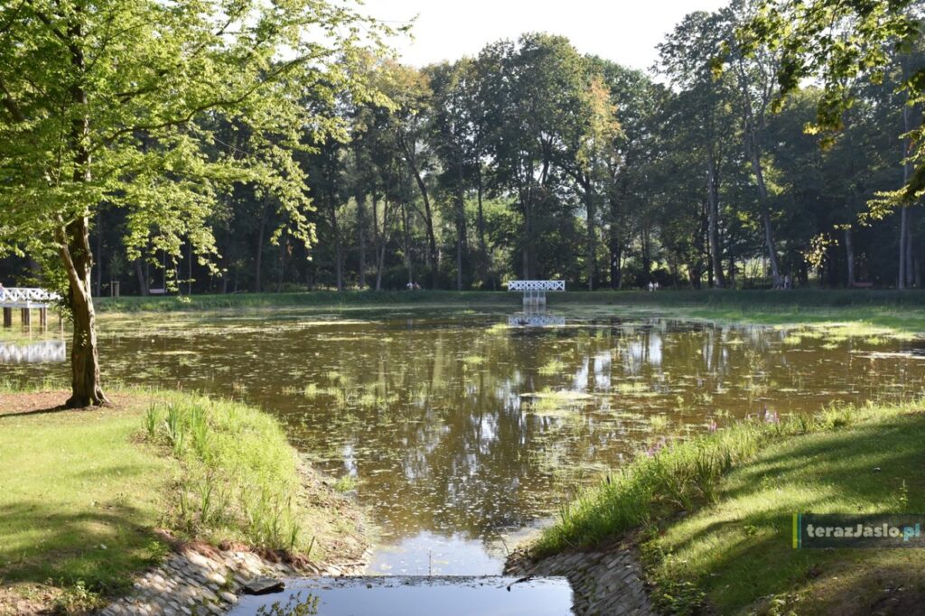 Park w Skołyszynie
