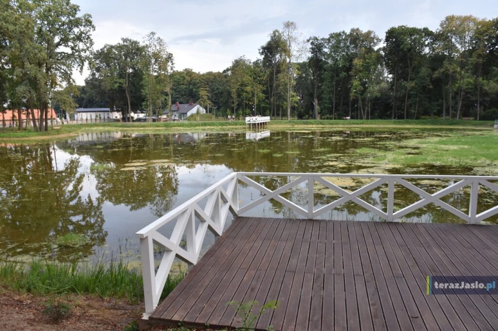 Drewniany pomost z białą balustradą na brzegu stawu porośniętego roślinnością wodną.