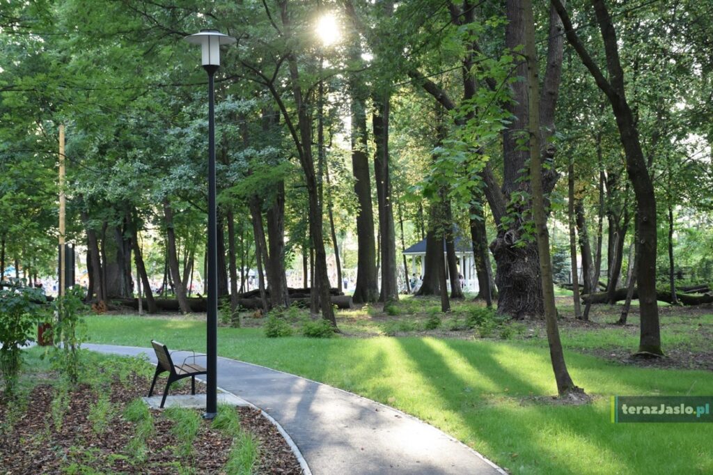 Asfaltowa alejka pod starymi drzewami, ławka na utwardzonym placyku i latarnia, w tle biała glorieta.